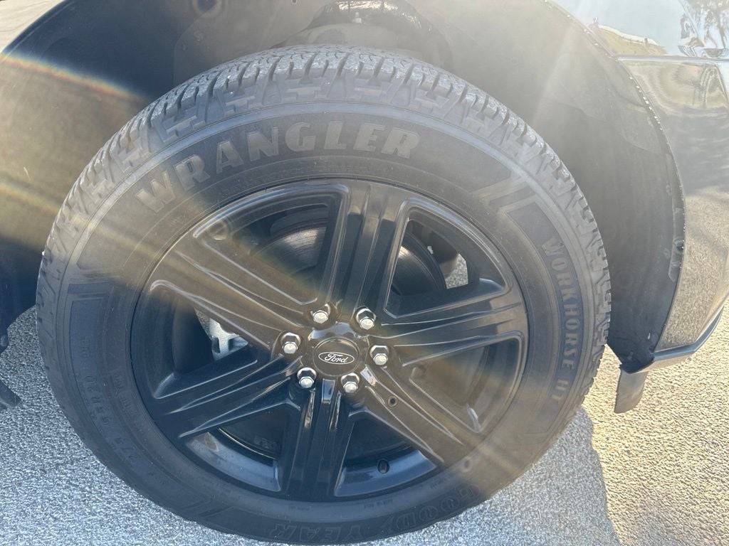 2020 Ford Expedition — detail view